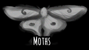 MothsTitle